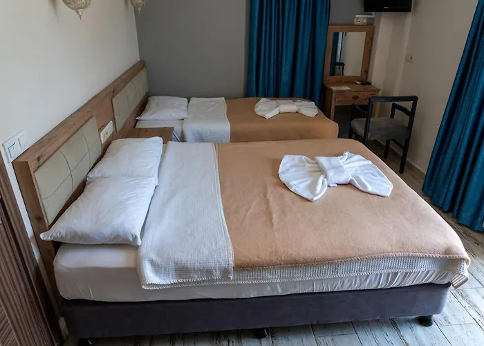 에로글루 시티 2*