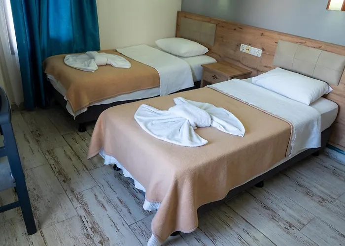 에로글루 시티 2*