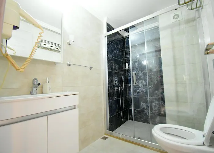 埃尔奥卢城市酒店 费特希耶