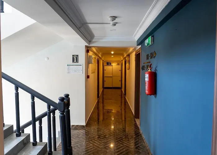 埃尔奥卢城市酒店 2*