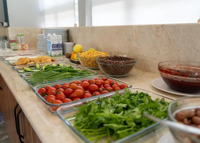 酒店 埃尔奥卢城市酒店 费特希耶